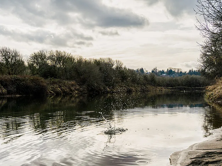 East Fork Commons — Photo 30