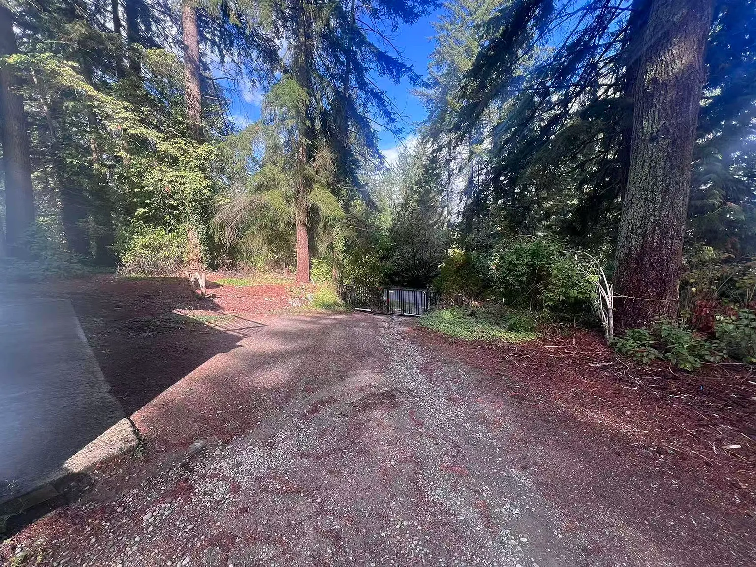 3 bed, 3210 sqft, $3,980 — Photo 4