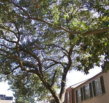 3rd image of 5843 Sugar Hill Dr #39