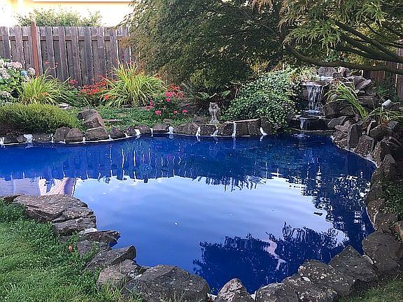 Water feature