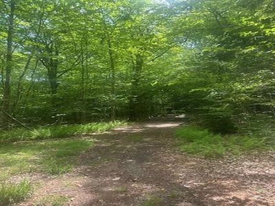 115 Deer Path Lane, Bristol, NH, 03222
