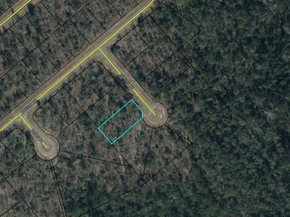 LOT 46 Murphy Ct, Chipley, FL 32428