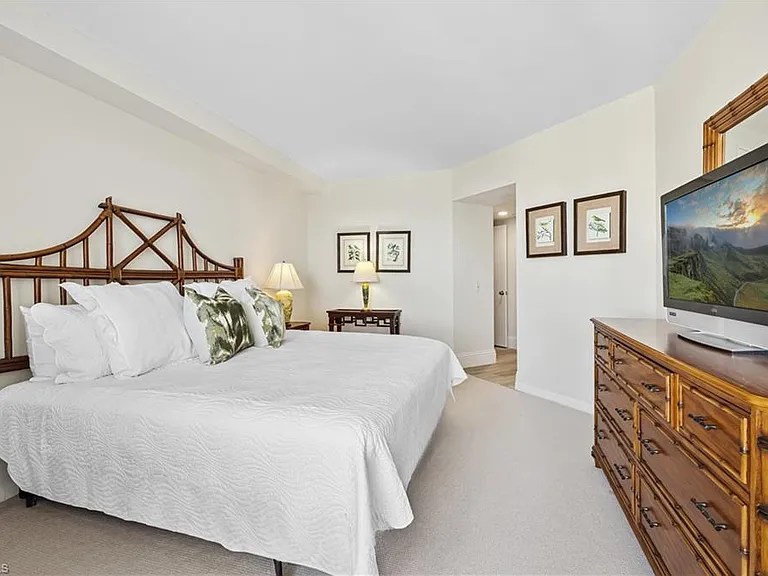 4041 Gulf Shore Blvd N #1805 — Photo 11