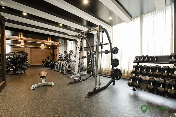 Rented by City View Living | media 12