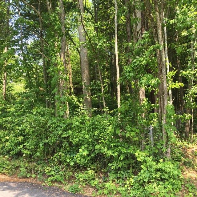 1st image of 120 Oglewood Ln