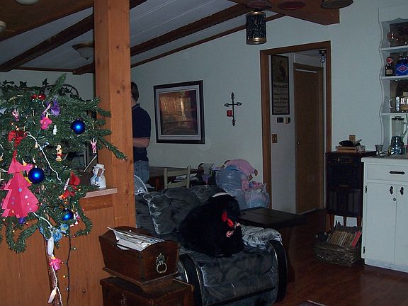 diningroom area w/island