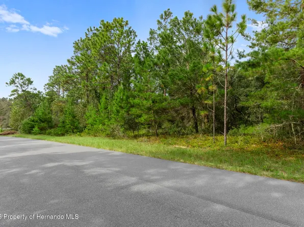4099 W Malaluka Cir, Citrus Springs, FL 34433