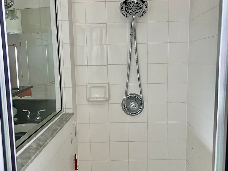 Master Bedroom Walk in Shower