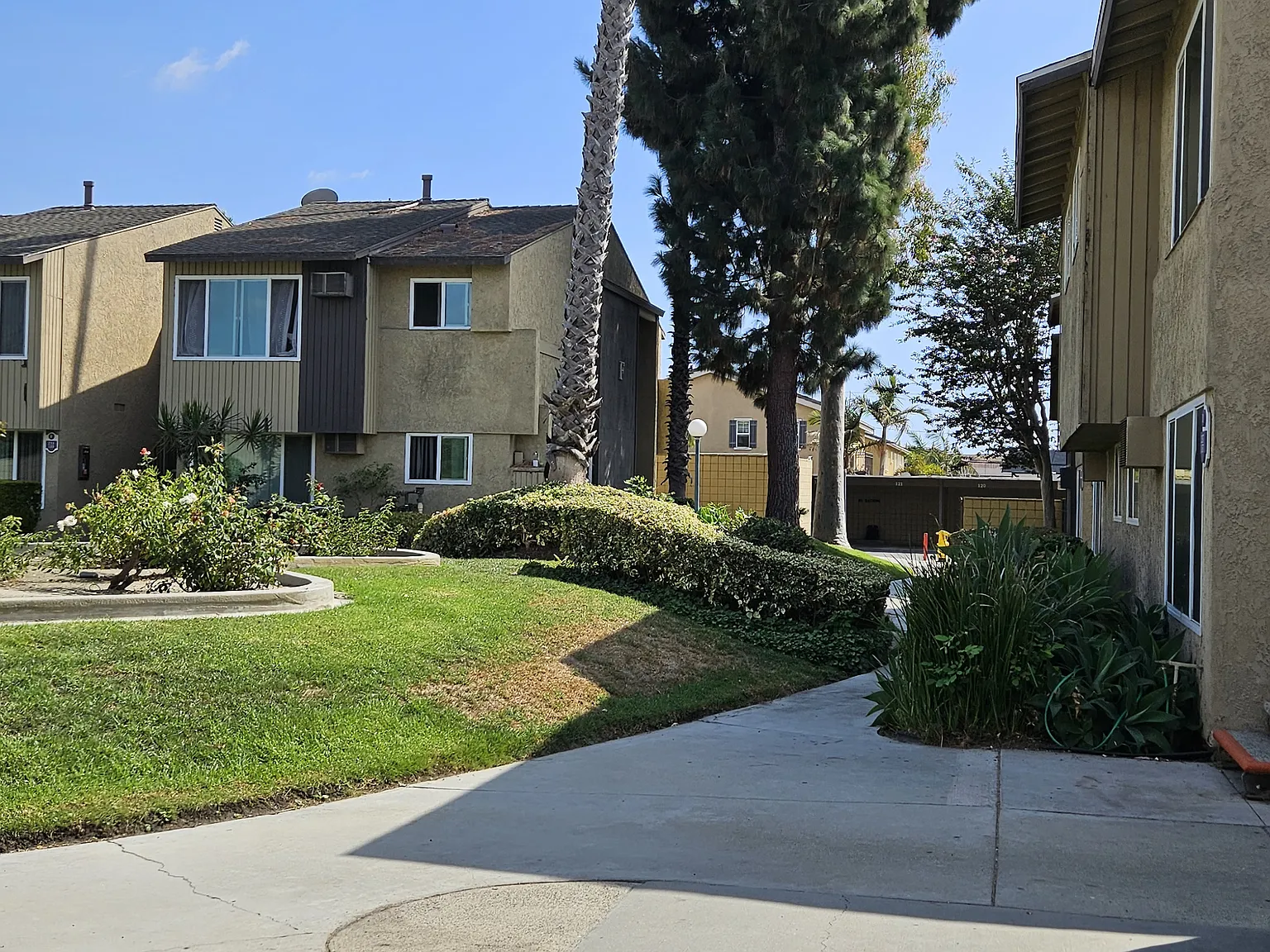 Cascade terrace — Photo 3