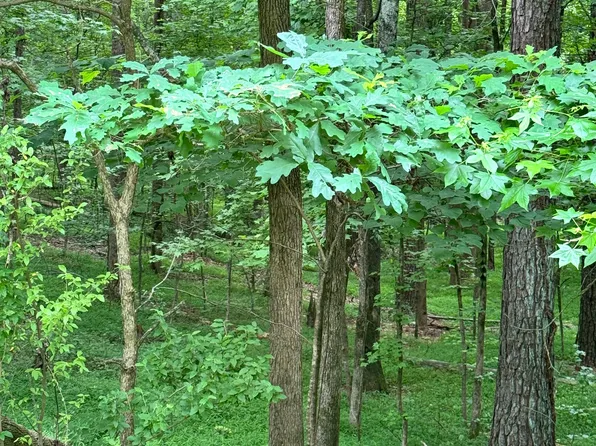 0 Newton Dr SW, Atlanta, GA 30331