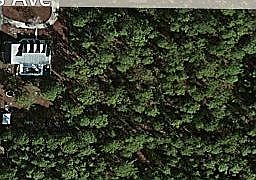 1st image of 1509 Iris Ave