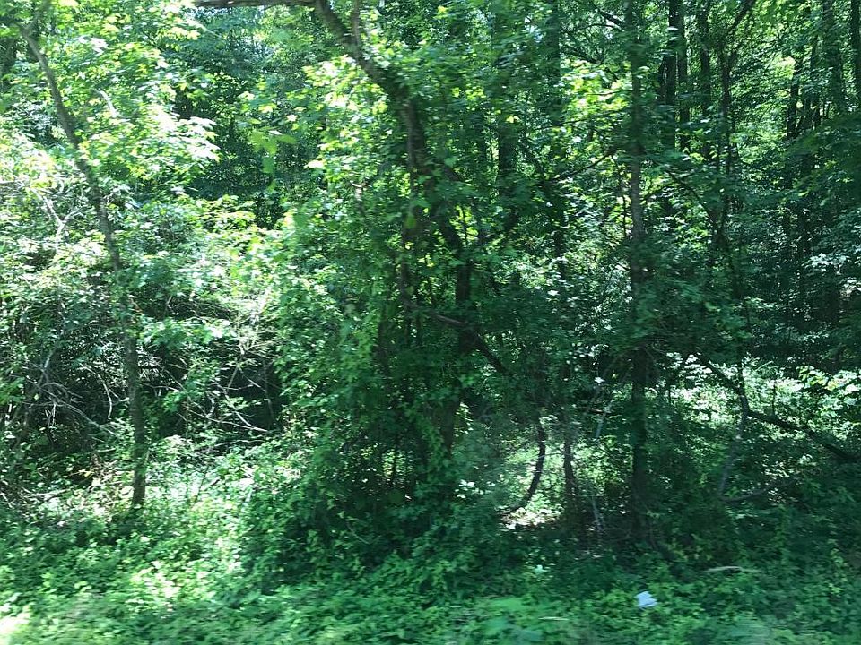 2nd image of 1991 State Highway 304