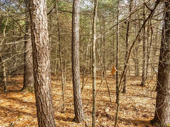 Lot 38 S Badger Lane #38, Arkdale, WI 54613