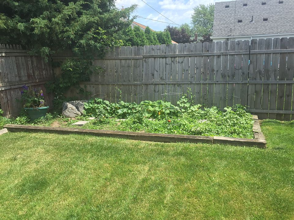 Garden in backyard 