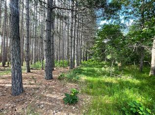 Trefoil Dr SW, Backus, MN 56435