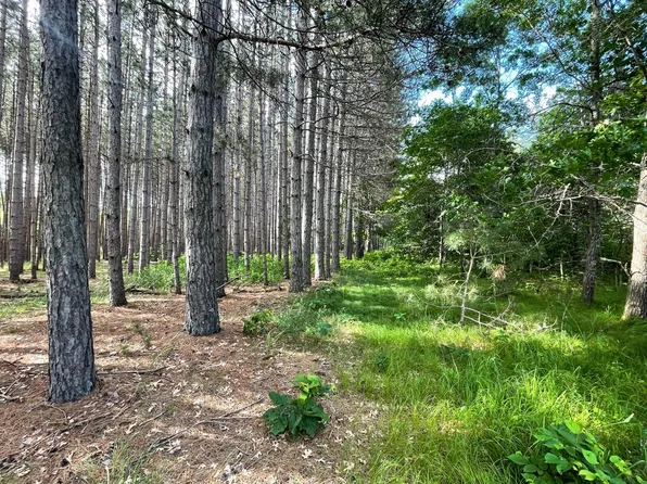 Trefoil Dr SW, Backus, MN 56435