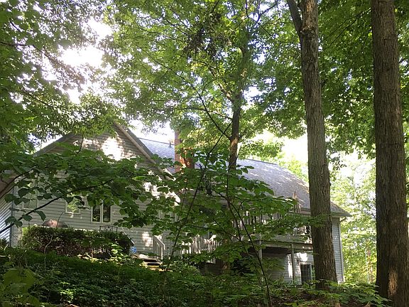 rear of house