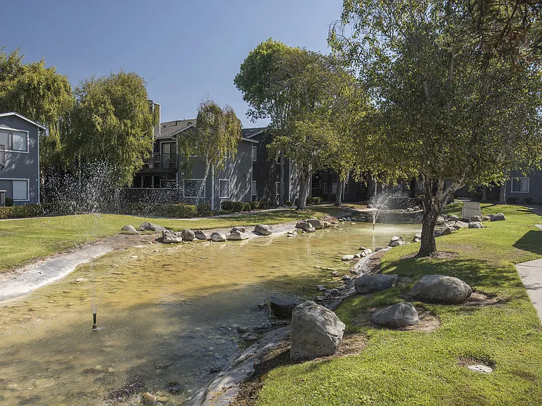 Cypress Creek — Photo 40