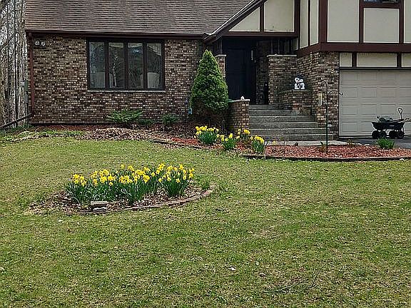 Front Yard