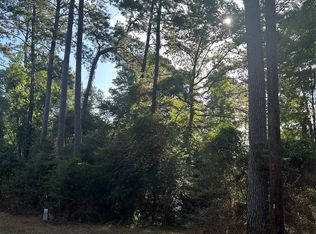 303132 Oak Pine Dr, Livingston, TX 77351