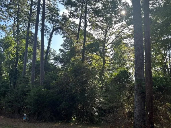 303132 Oak Pine Dr, Livingston, TX 77351