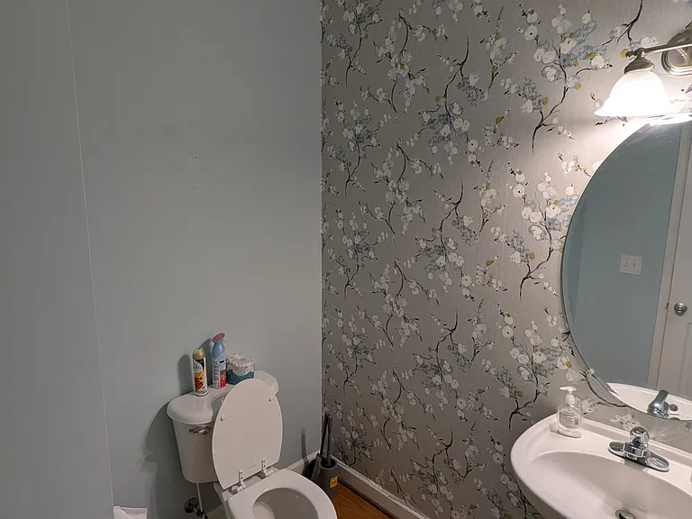 Downstairs Half Bathroom