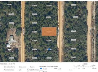 Selma Avenue Lot #26, Interlachen, FL 32148