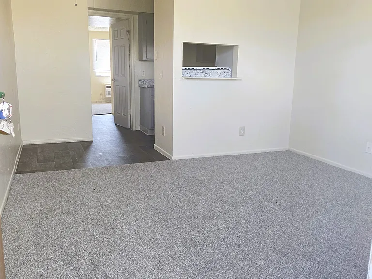 living room with new carpet