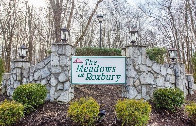 Welcome to The Meadows