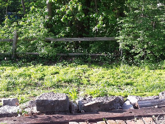 View of woods from fire pit