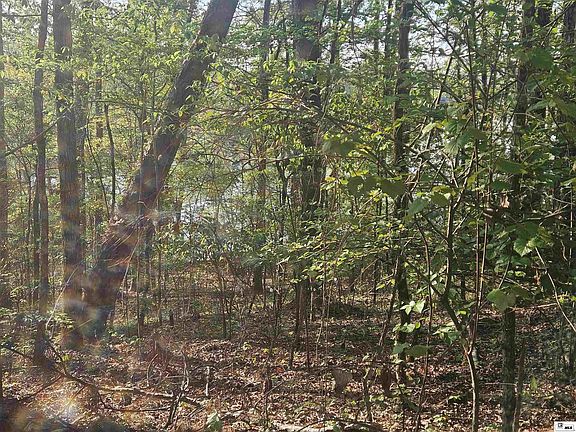 2nd image of 0 Iley Evans Rd