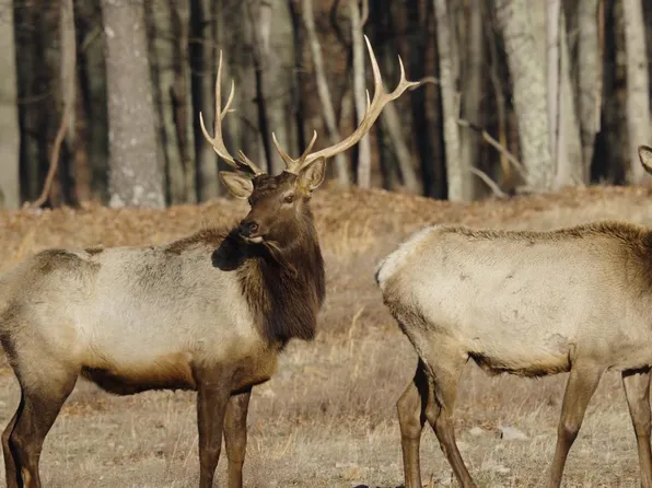 500 Lexington Dr, Romney, WV 26757