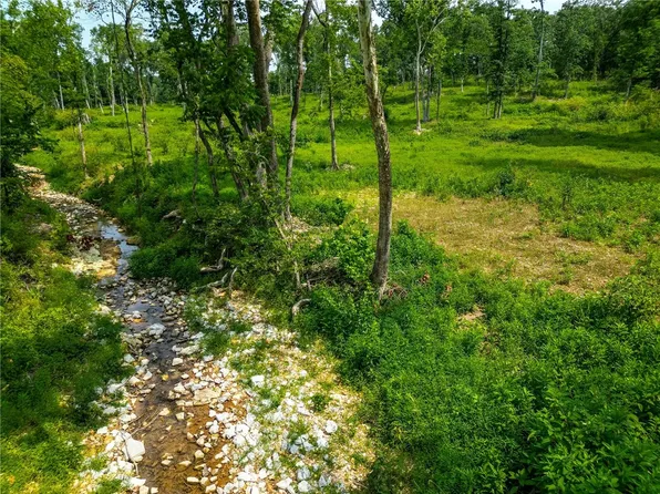 TRACT 4 Kelly Pond Rd, Decatur, AR 72722