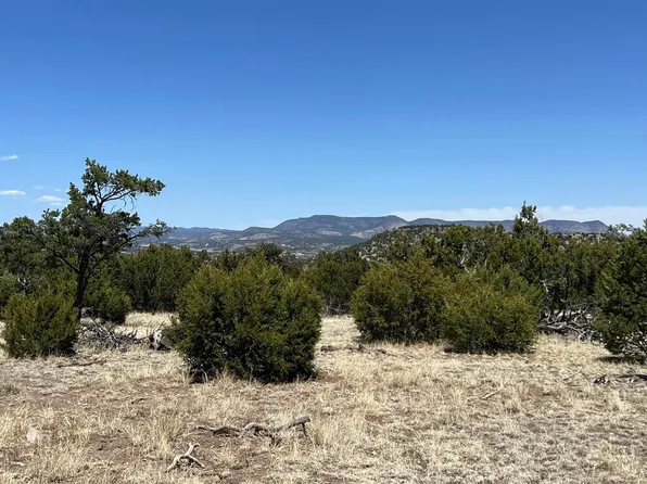 LOT 66 Wagon Trl, Datil, NM 87821