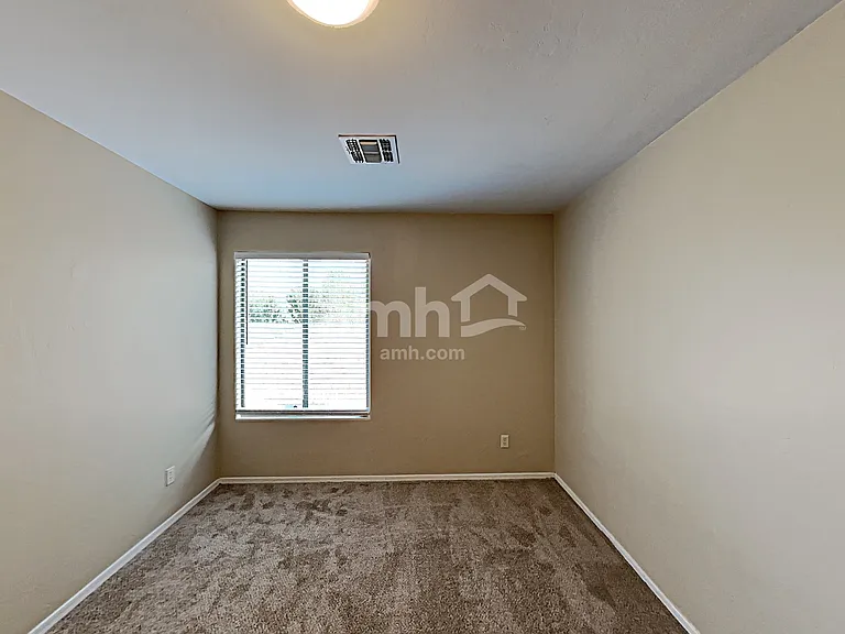 10808 S Alley Mountain Dr — Photo 14