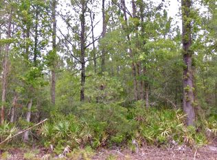 22 Mount Hope Rd, Guyton, GA 31312