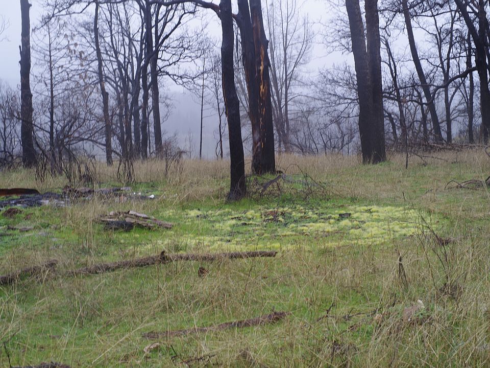 2nd image of 15300 Bottle Rock Rd