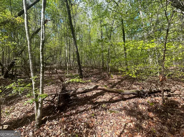 0 Shore Crest Dr Lot 12, Martin, GA 30557