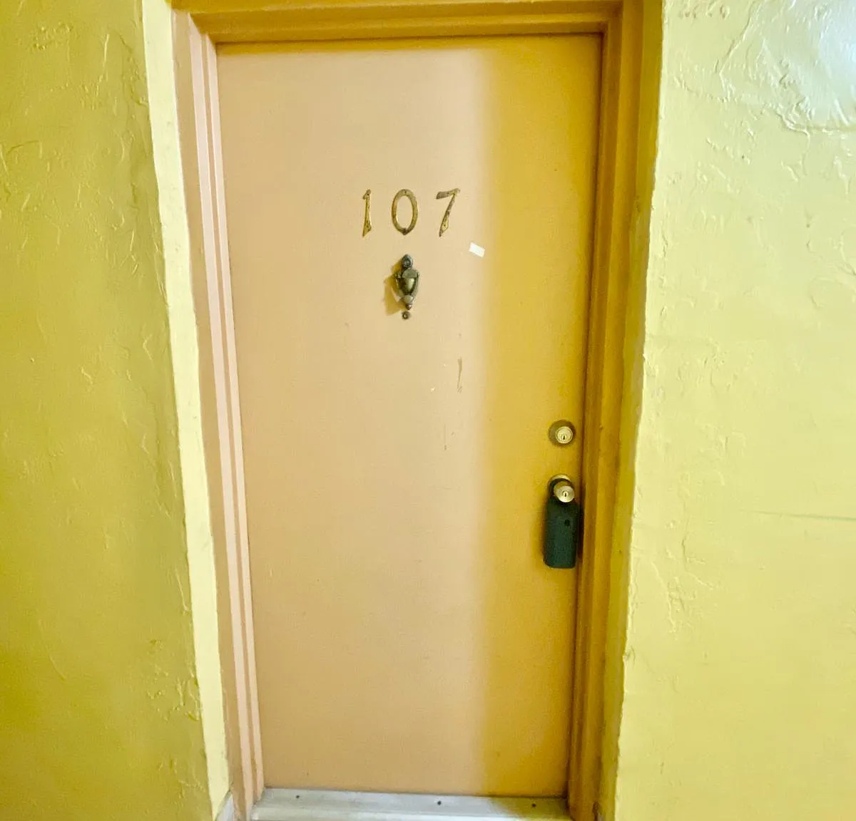 666 W 81 St # 107 (45F) - 1 — Photo 1