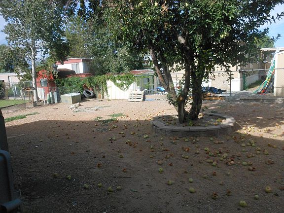 Back yard