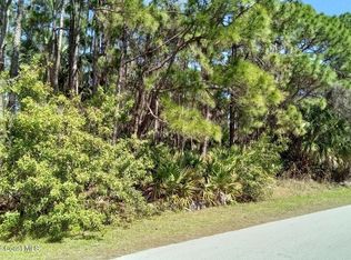 473 Galhouse St SW, Palm Bay, FL 32908