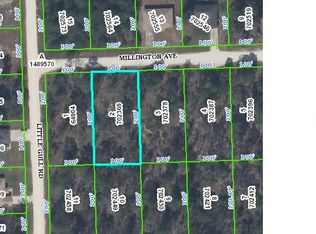 12116 Millington Ave, Weeki Wachee, FL 34614