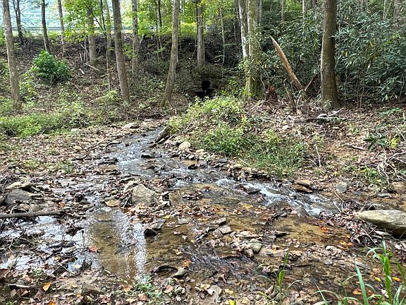 4th image of 0 Mount Hebron Rd