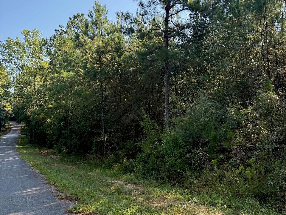 2nd image of 9/AC Fork Rd