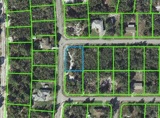 431 Detroit Rd, Lake Placid, FL 33852