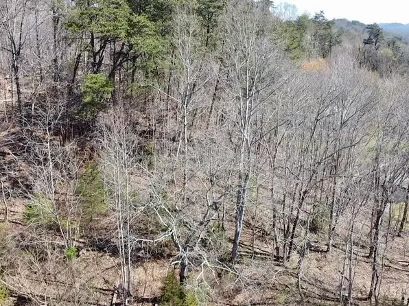 Bays Mountain Rd, Knoxville, TN 37920
