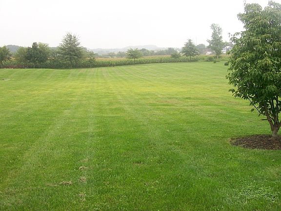 1.653 Acres (Back yard)