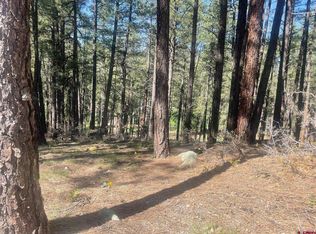 Pine Top Dr, Bayfield, CO 81122