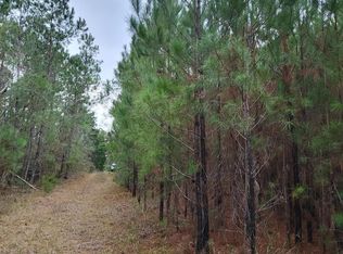 19265 SE Wrennie Moody Rd, Blountstown, FL 32424