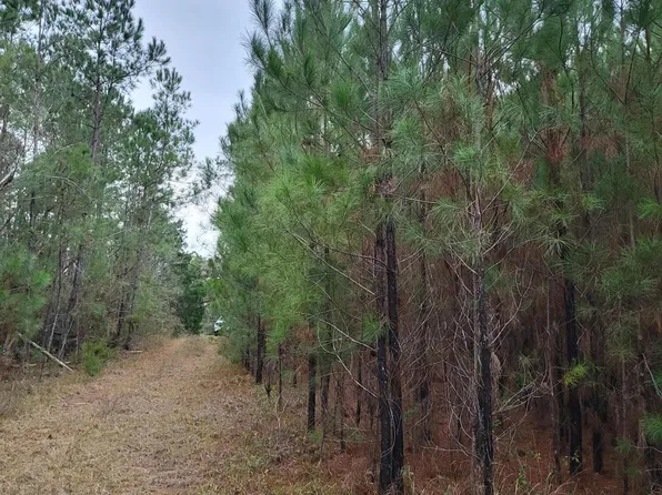 19265 SE Wrennie Moody Rd, Blountstown, FL 32424